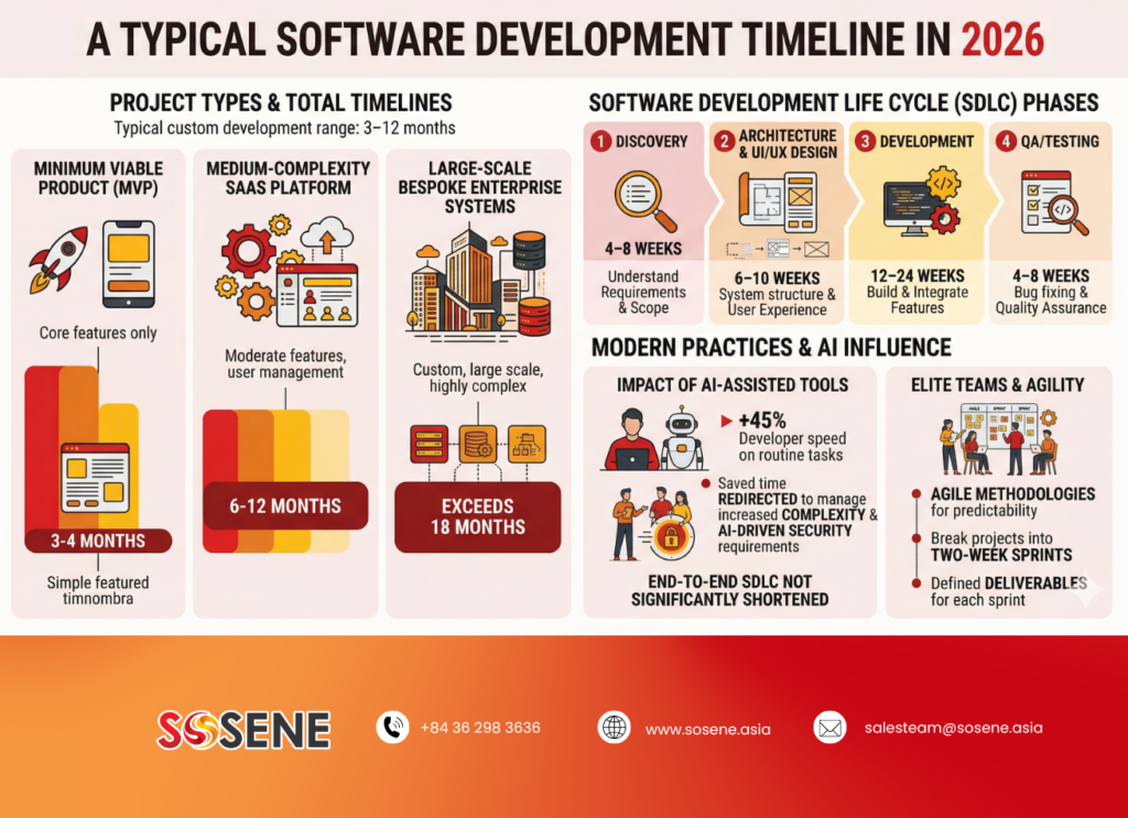 Typical Software Development Timeline: Decision-Stage Answer